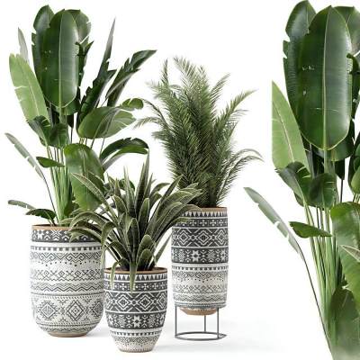 现代植物盆栽-58